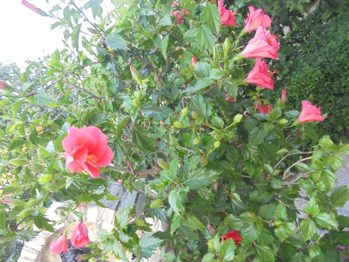 Vila Ori Ksamil Esterno foto
