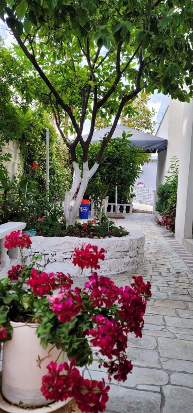 Vila Ori Ksamil Camera foto